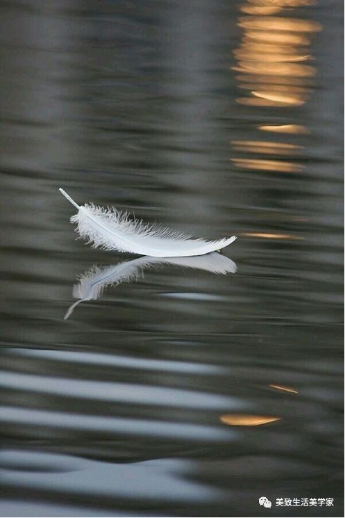 浙江临安 C2 户型样板房 | 写意现代风格,精致生活美学家!-2