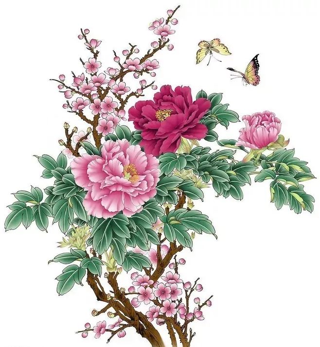 牡丹养护攻略 | 花园中的花中之王-50