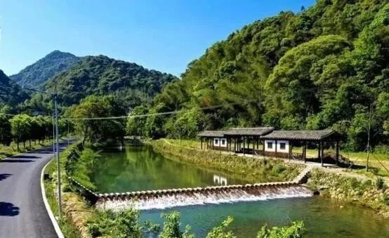 九峰村变形记 | 美丽乡村建设的中国实践-14