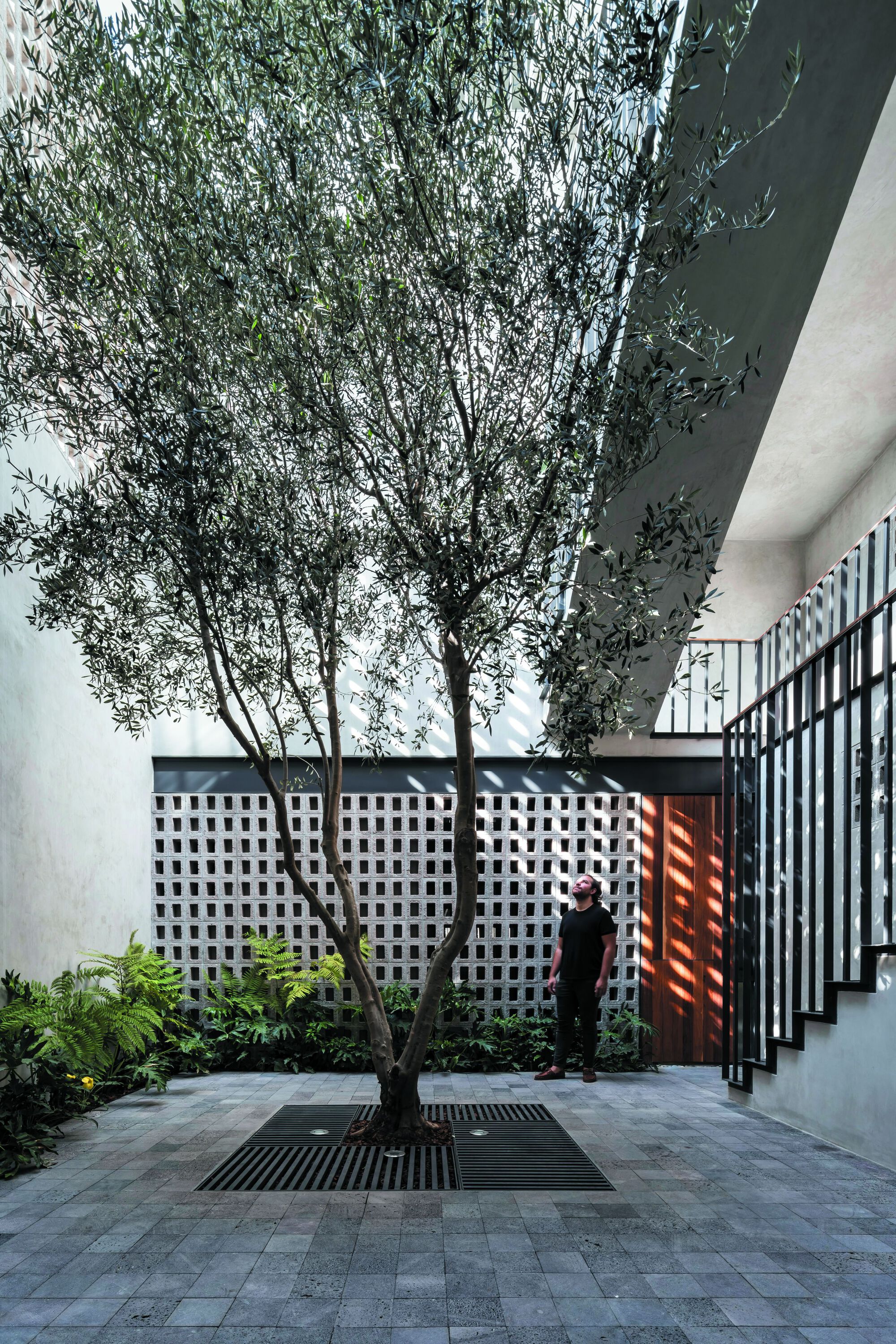 拉斯哈达斯住宅区丨墨西哥丨REIMS 502-22