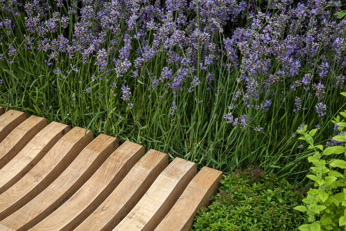 How Garden Benches Can Help You Get The Most Out Of Your Landscape-9