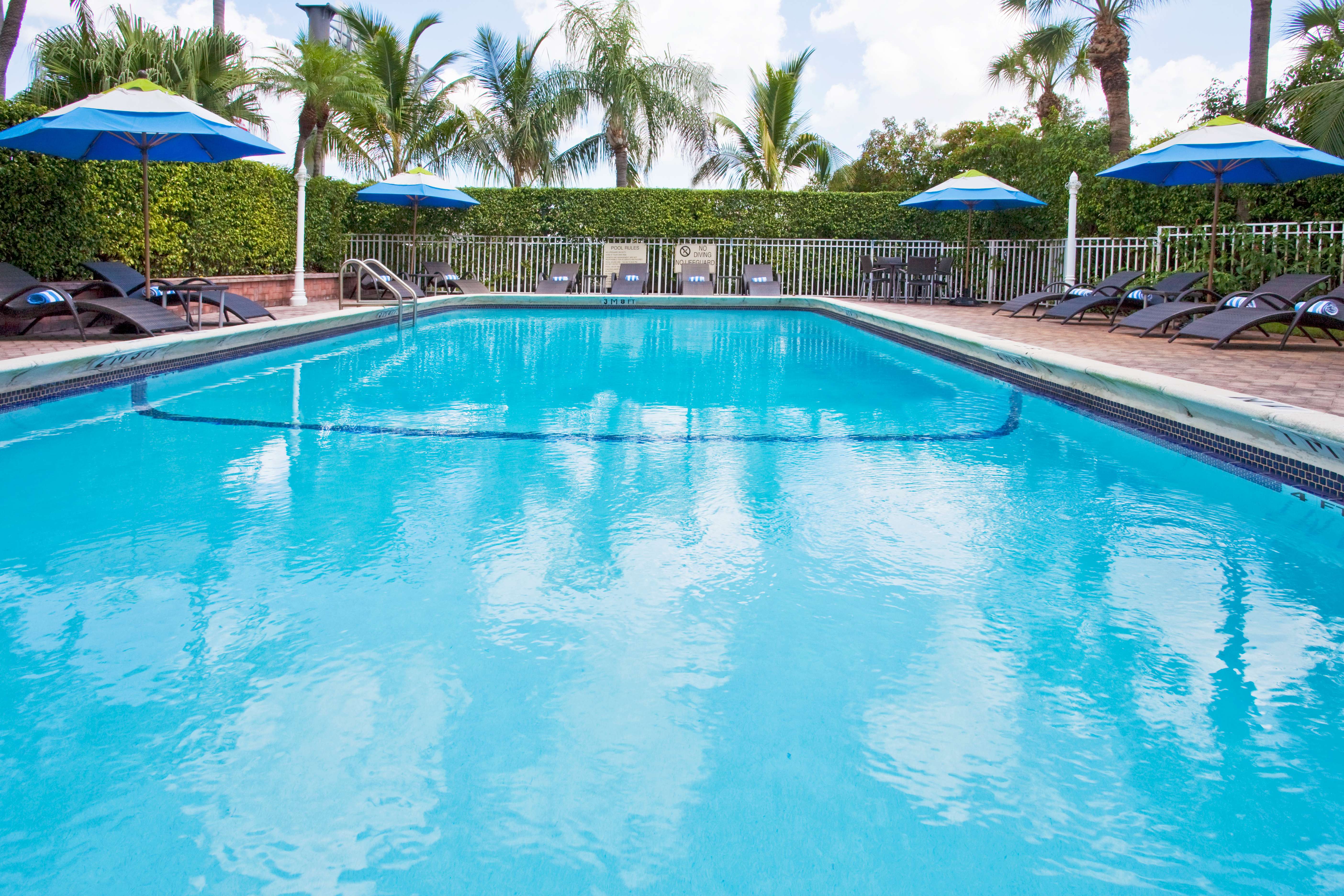 HOTEL INDIGO MIAMI DADELAND-19