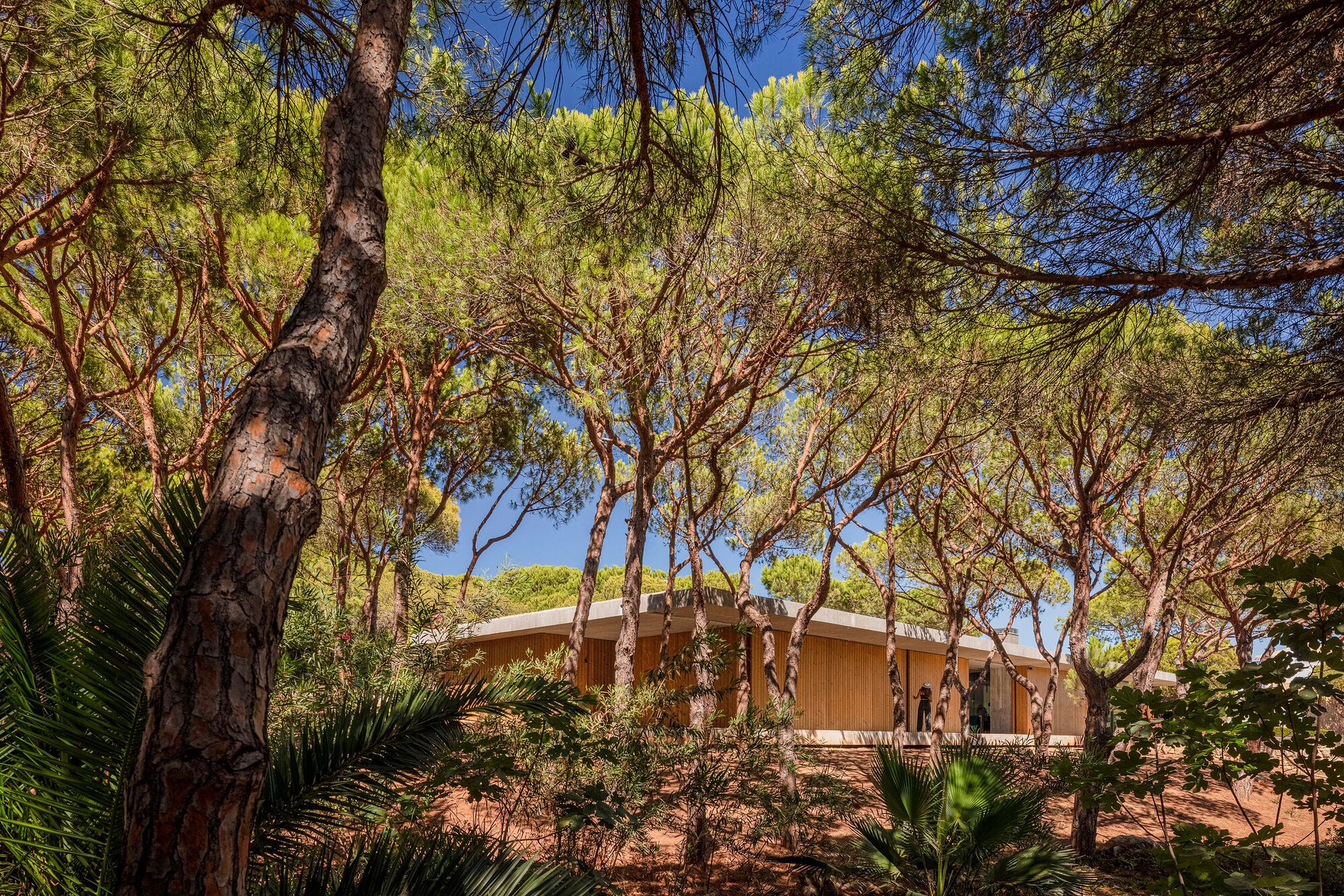 普拉亚韦尔德的房子丨葡萄牙丨Atelier Central Arquitectos-38