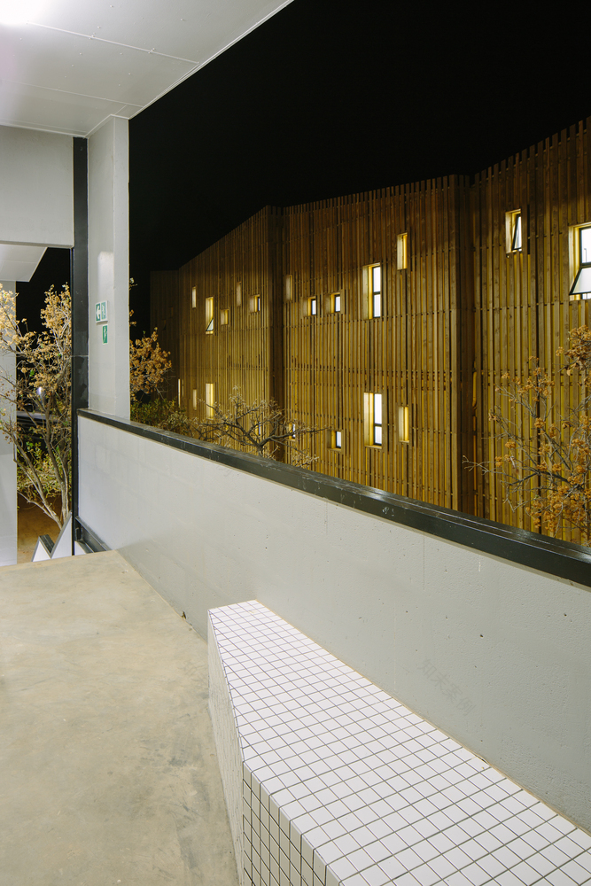 南非 Limpopo 青年旅舍-67