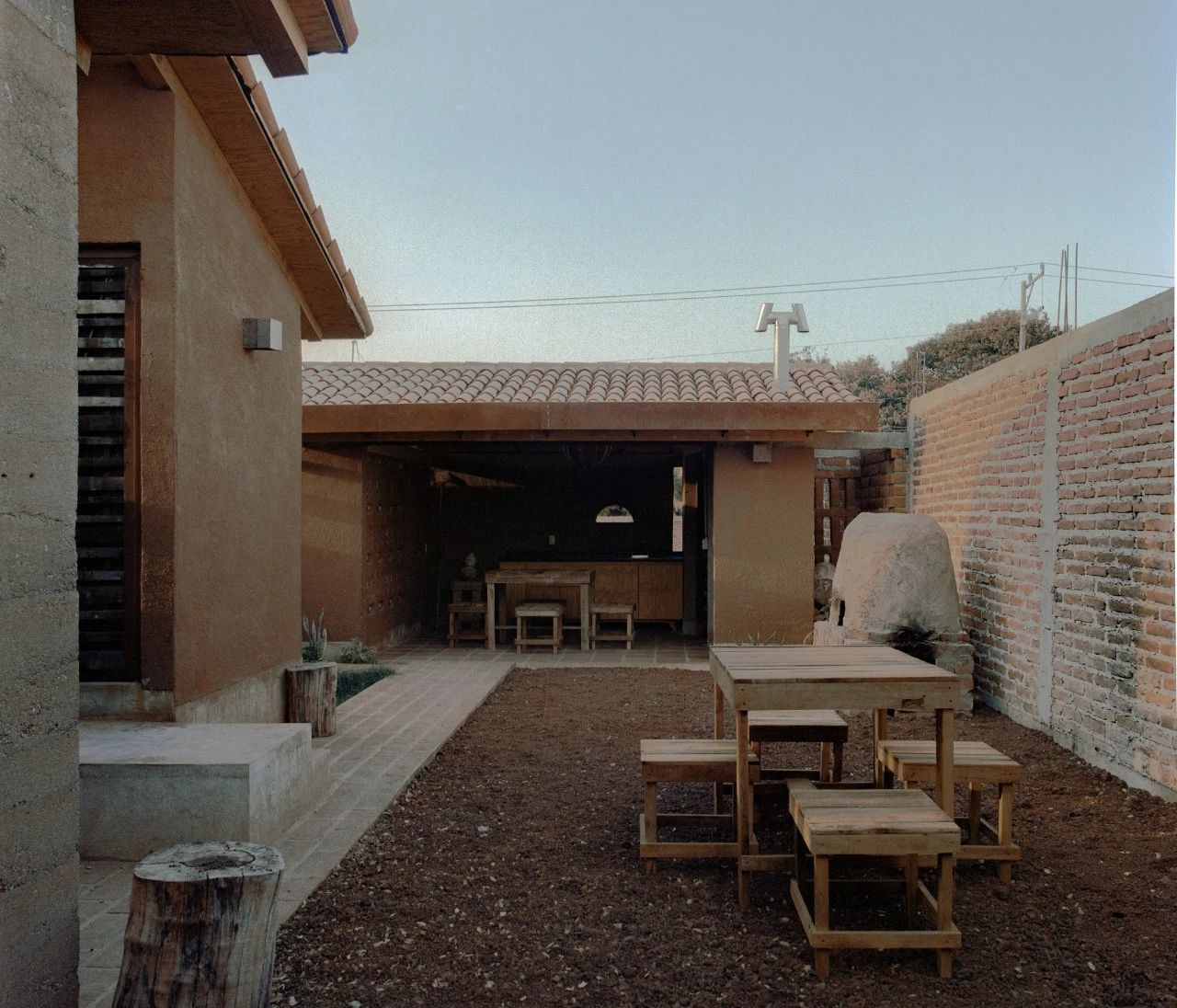 蕨类植物丨墨西哥丨Taller Hector Barroso-63