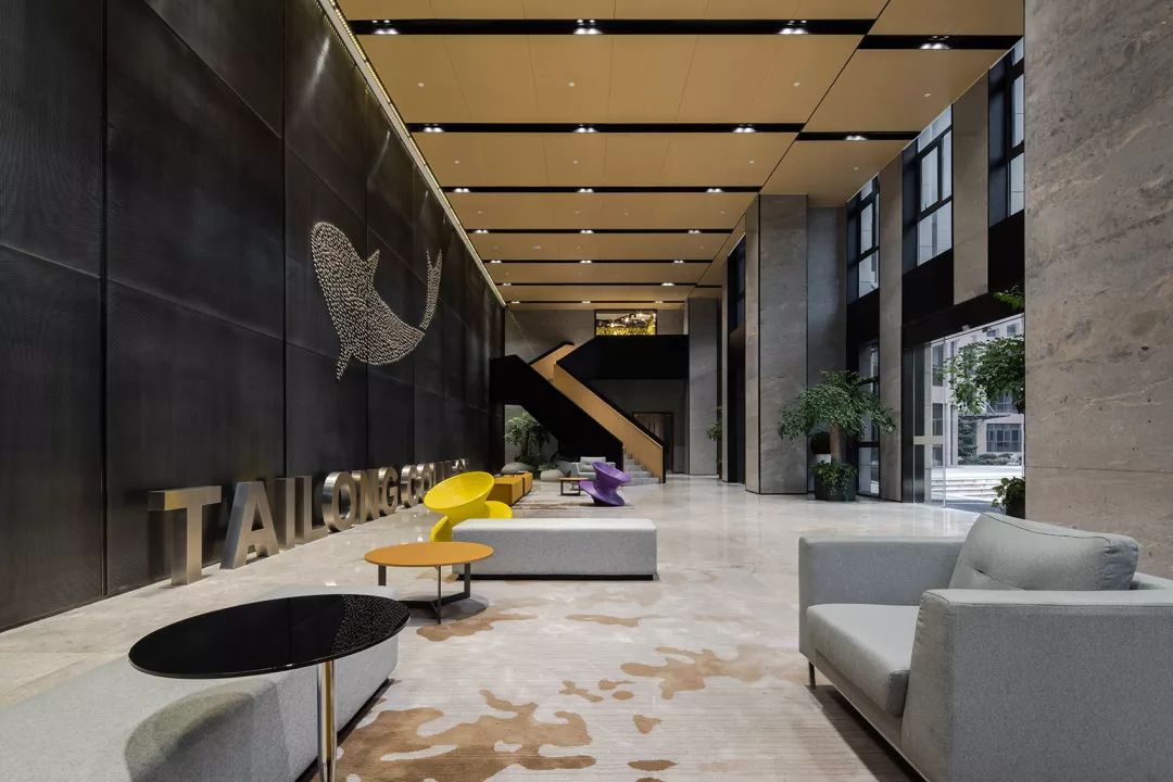 杭州泰隆学院室内设计 | 有声有色,构建活力空间-6