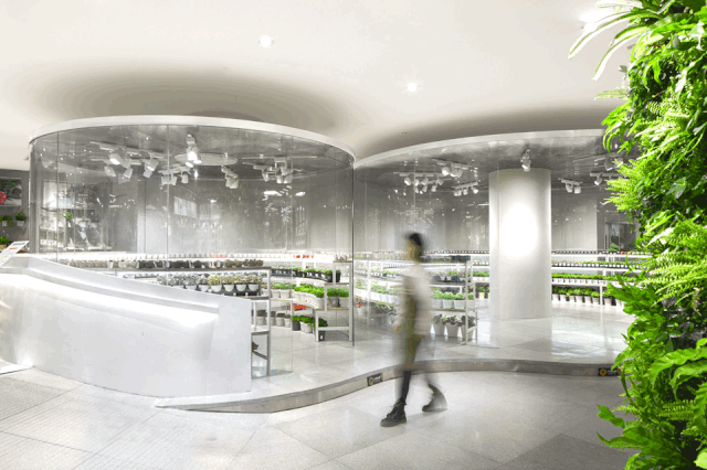 鹿岛生活 | 感官之旅的空间设计-1