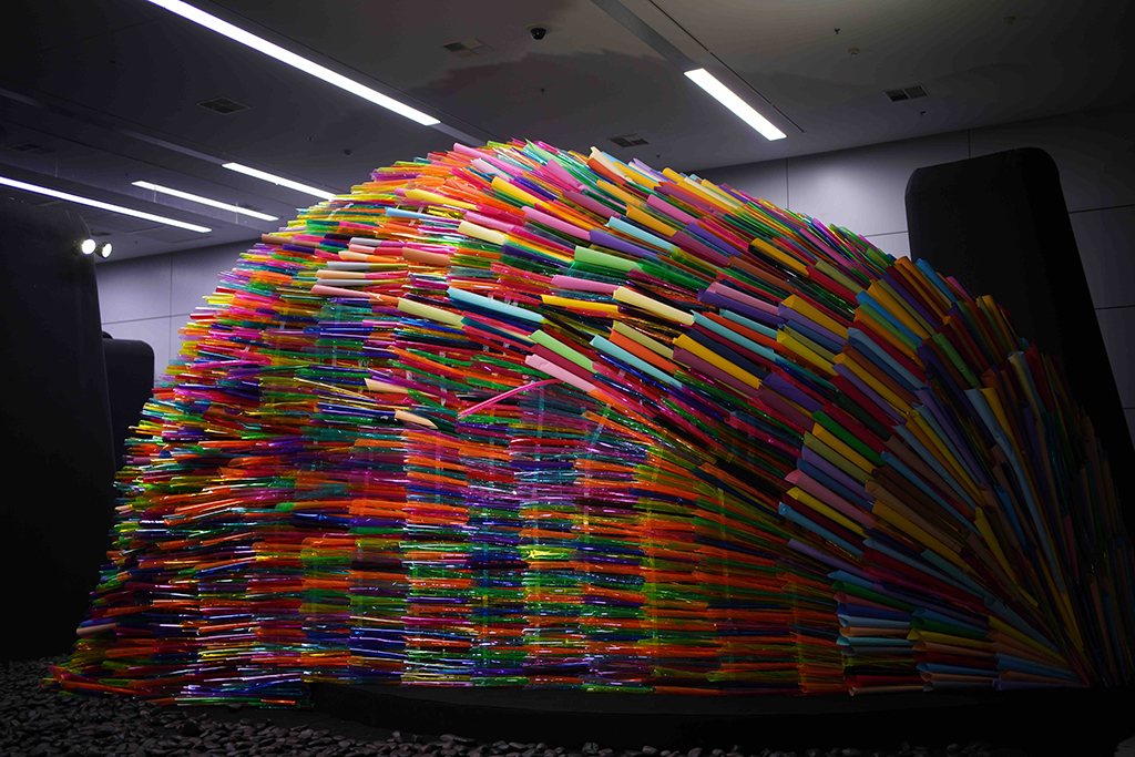 重生之孔雀·传统民间工艺与当代艺术的碰撞-11