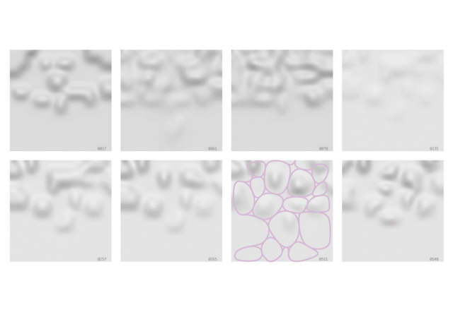 <ベルリン－東京,東京－ベルリン>展覧会丨德国柏林丨Florian Busch Architects等-31
