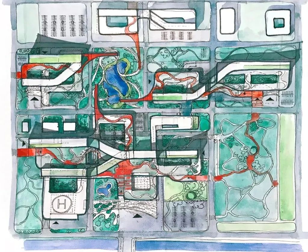 三个医院和一个“大”的梦想丨中国东营-31