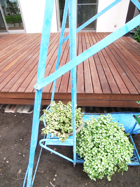 丨日本群马丨Sunao Koase（IZAP.labo）-10