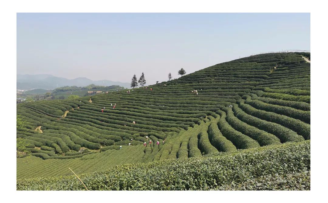 力设计踏青活动 | 趣味无穷的团建时光-11