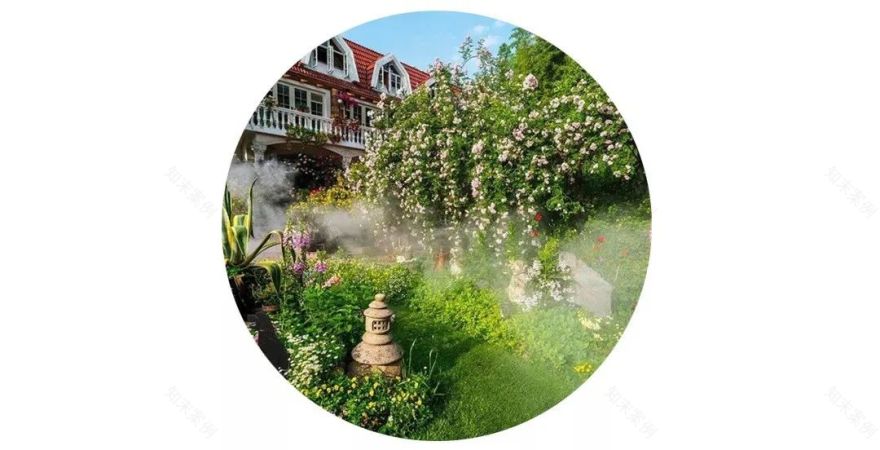 三棵树庄园 | 摄影家的心灵秘境-1