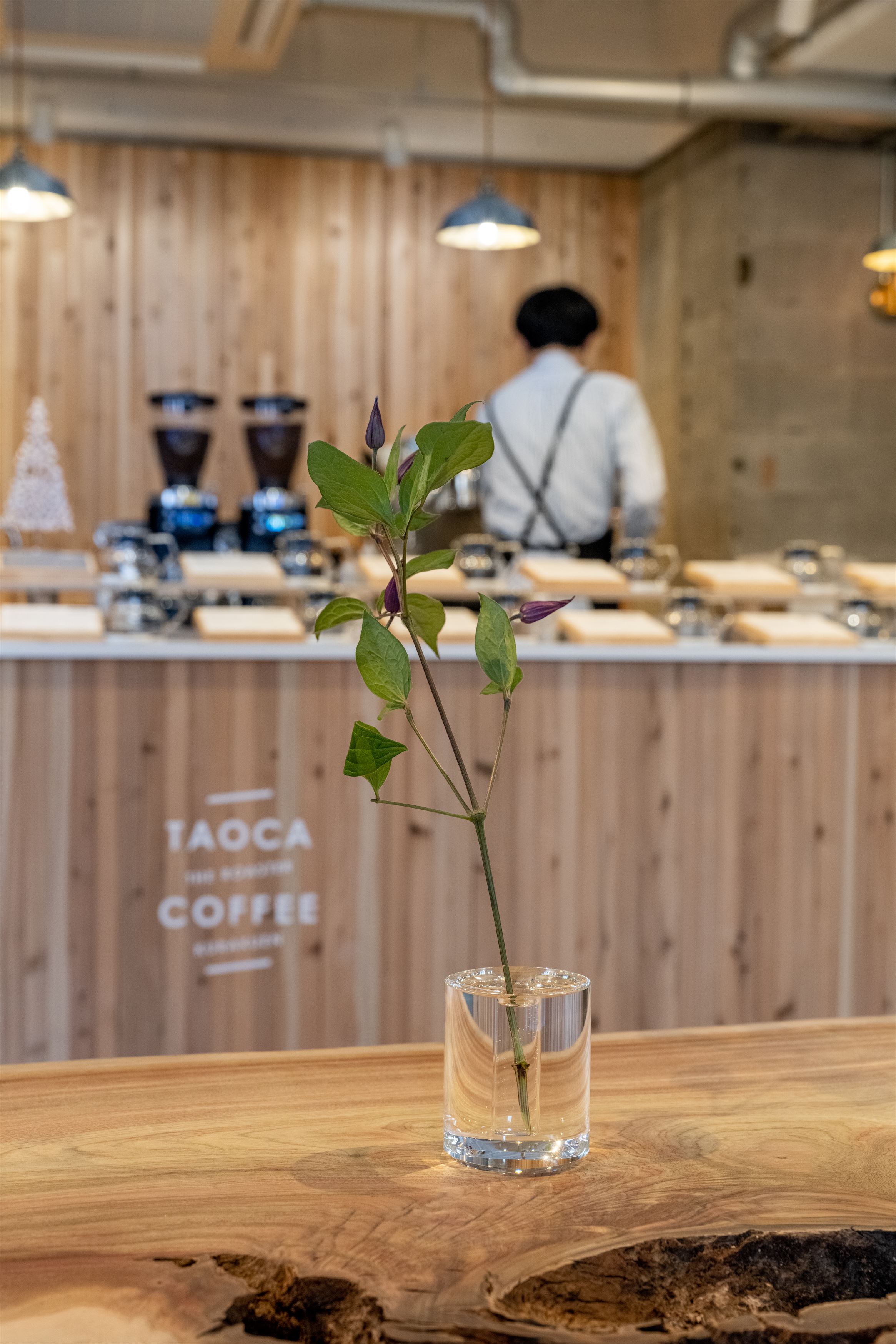 TAOCA COFFEE KOBE ROKKO 店丨日本丨YUNAGI MIKI ZEROKOBO DESIGN-24