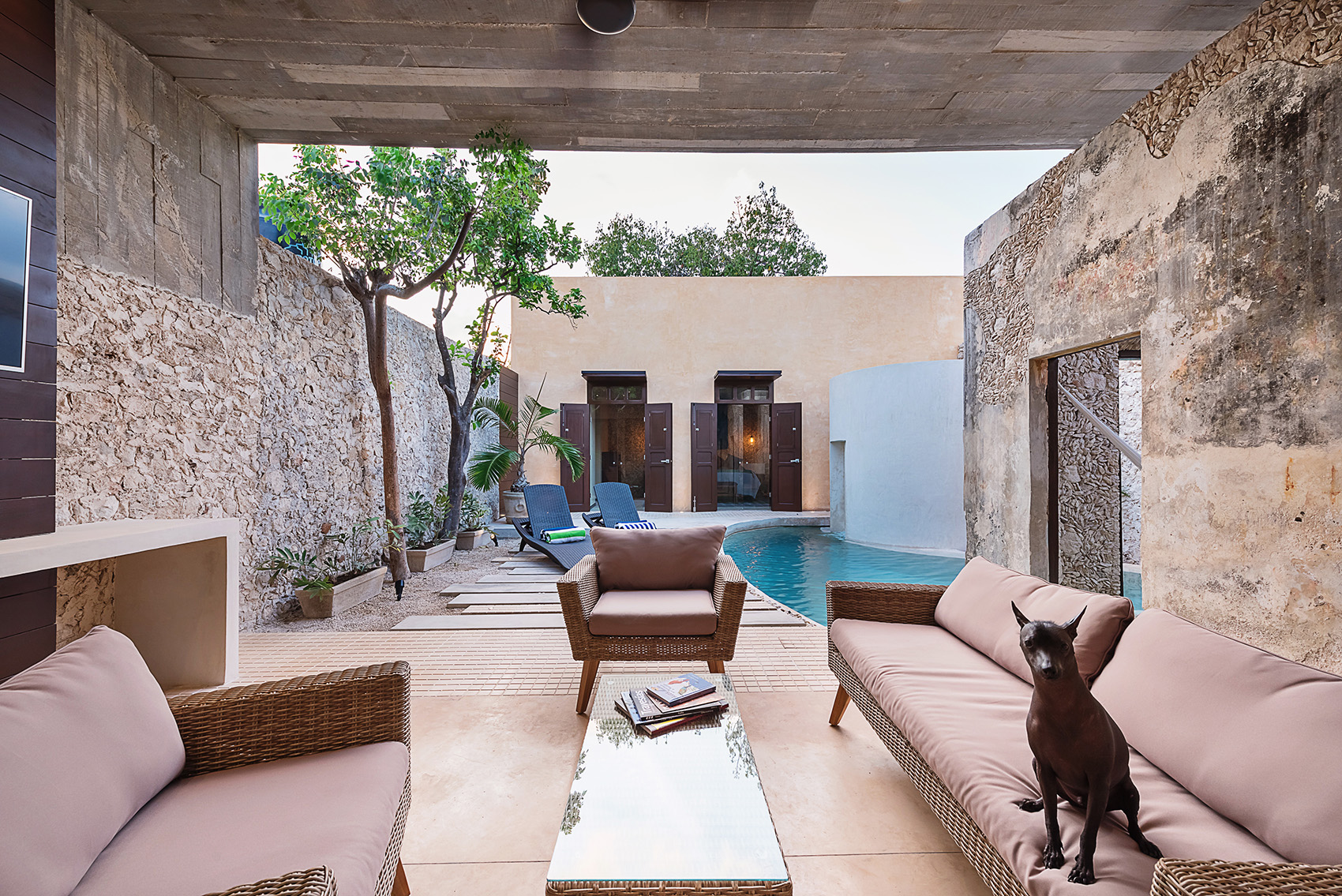 Xólotl住宅,墨西哥 / Punto Arquitectónico-66