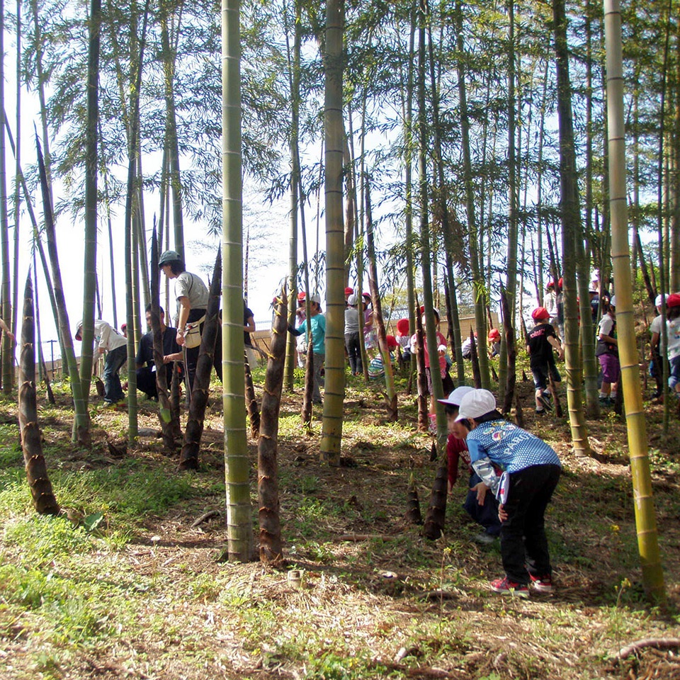 日本横滨南本宿第三公园农园设计丨株式会社户田芳树风景计画-36