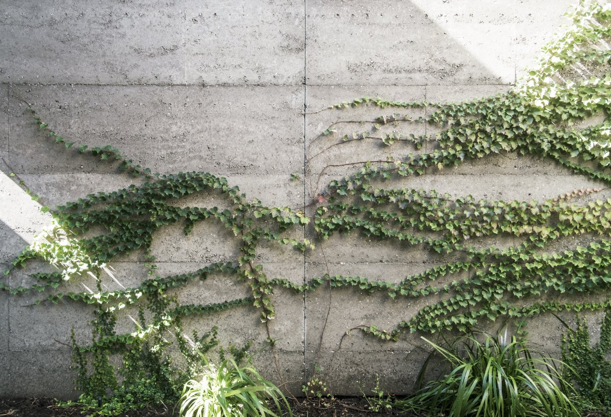 回廊住宅(The Cloister House)-33