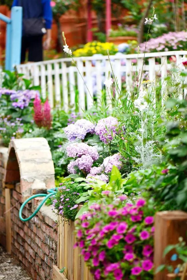 他建了座2亩的鲜花小院，满足你对花园的所有幻想-28