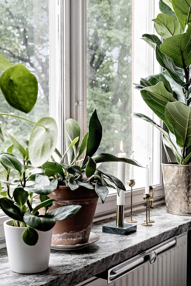 瑞典创意小公寓设计 | 玻璃墙与蓝色元素-12