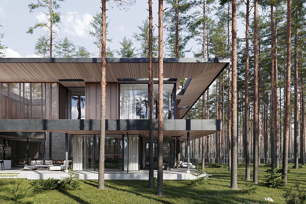 俄罗斯 Repino 别墅丨Kerimov Architects-3