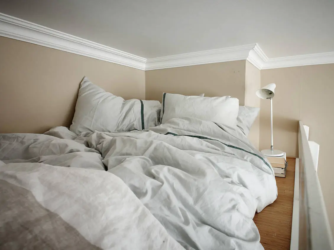 温柔设计之 19 世纪酒店改造公寓-8