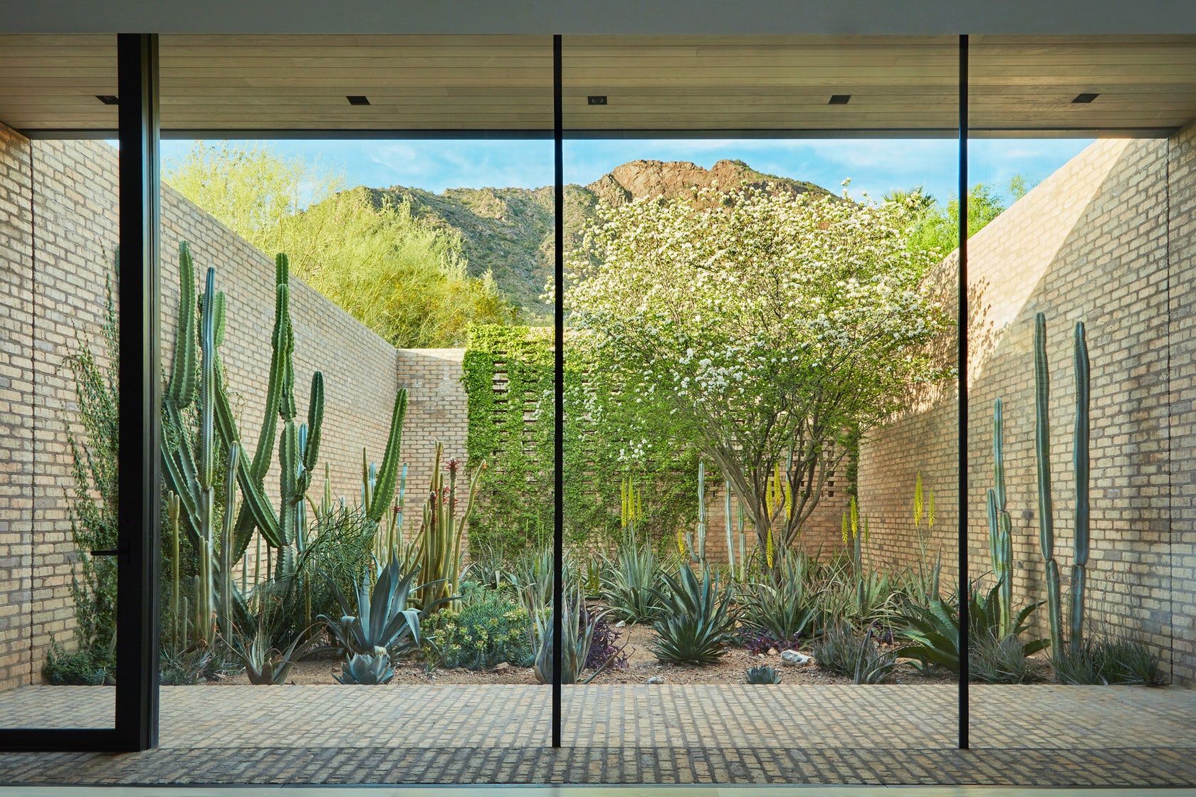 沙漠梦幻家园 | Camelback 山丘的生态景观设计-10