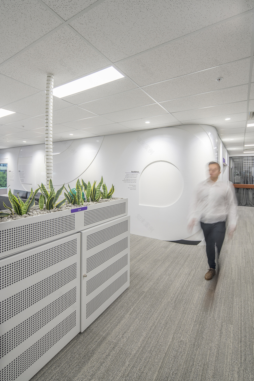 温馨居家风格,突显曲线与自然元素,打造协作办公空间-26