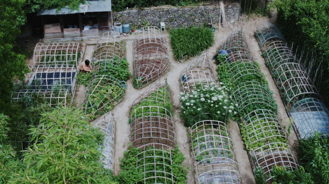 回声花园 · IT 夫妇的乡野生活丨中国黄山丨红子,小可夫妇-61