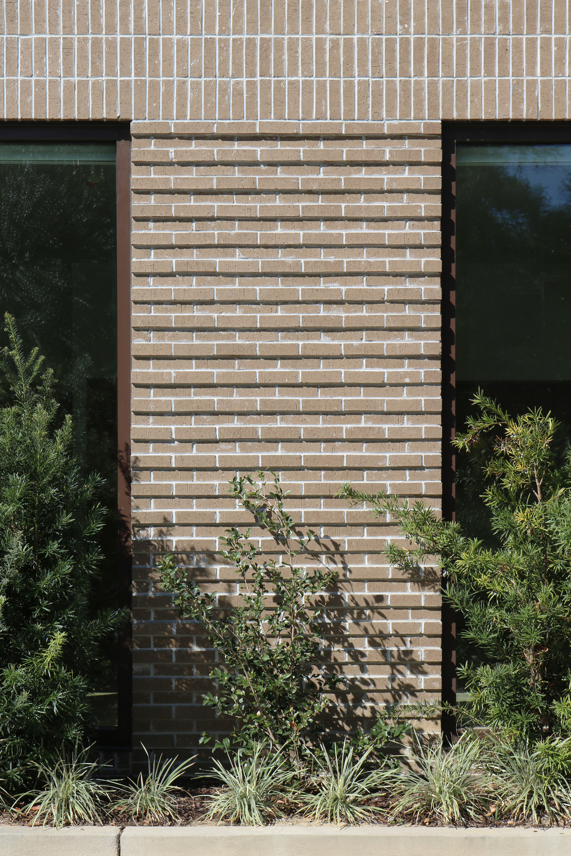 Preschool of the Arts 扩建项目丨美国丨Boyd Architects-23