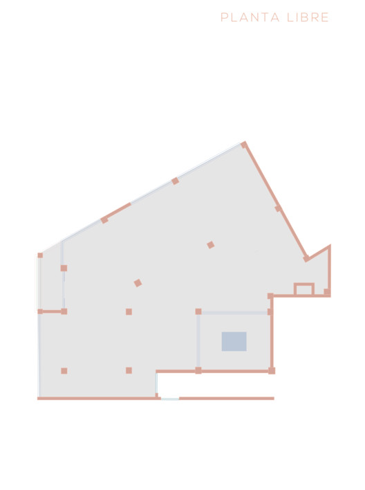 “树”的森林 | 历史中心公寓的重生-14