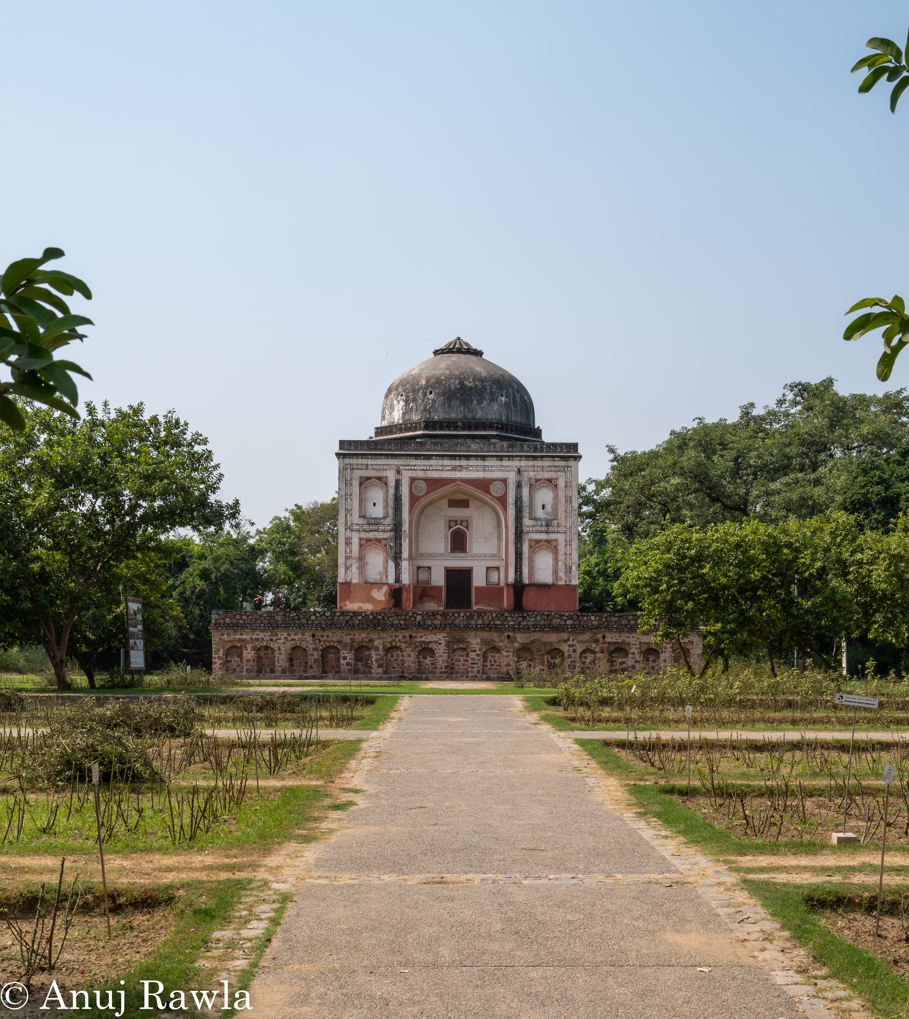 Sunder Nagar Nursery - Oct 2020 Sunday Market-74