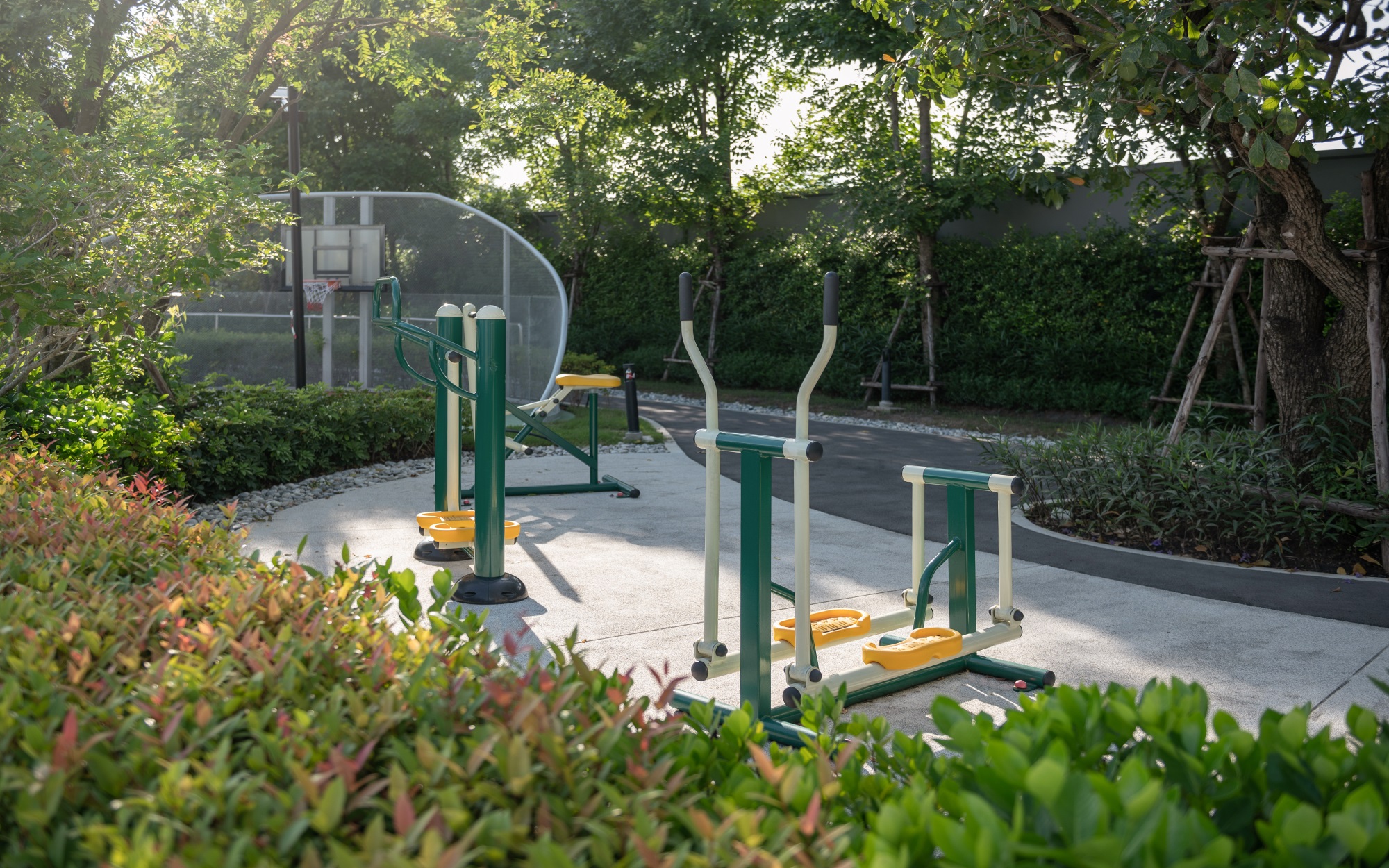 川春镇兰实空 3 区丨泰国巴吞他尼-30