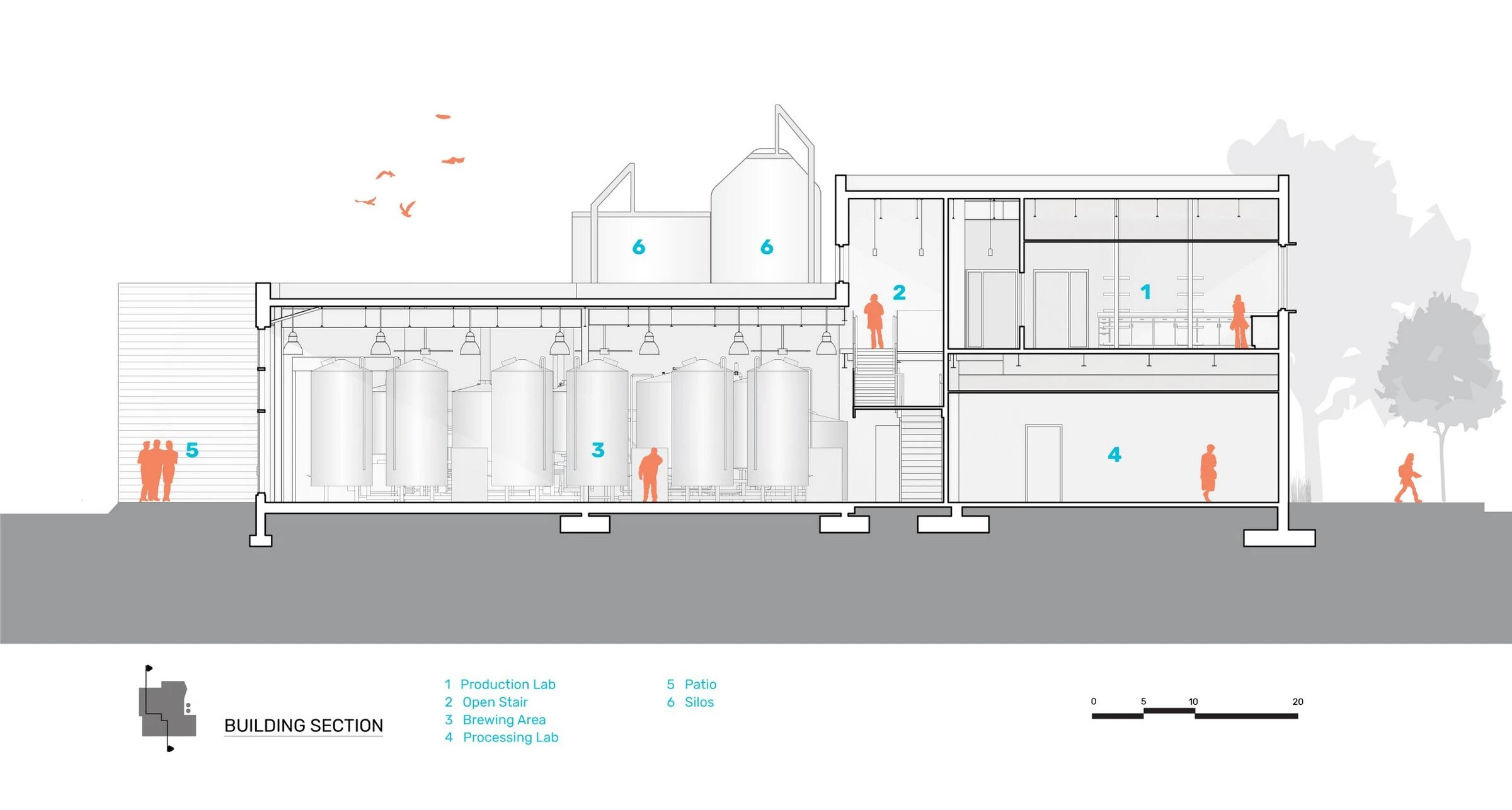 欧米茄酵母丨美国芝加哥丨Valerio Dewalt Train-38