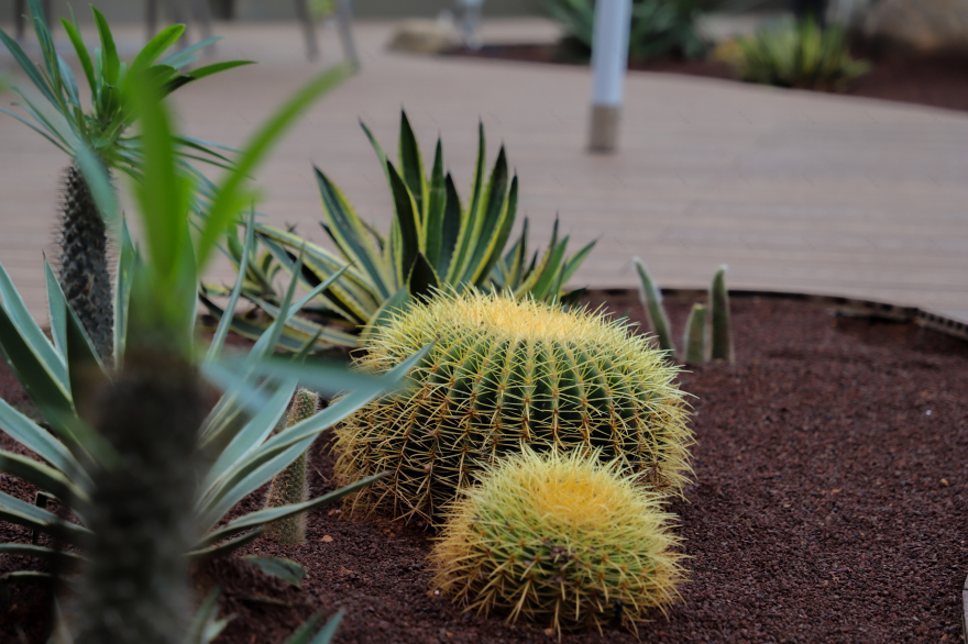 沙漠营地|蘑界海上世界店丨中国深圳丨任小雨-40