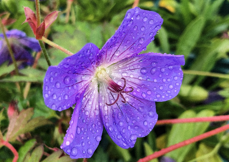 住宅区内的场地设计-9