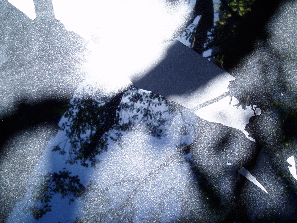 东京市政厅景观设计-8