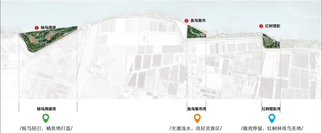 广州番禺海鸥岛红树林生态修复丨中国广州丨岩土工程研究二所-35