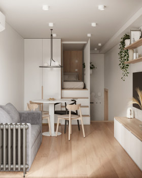 Super Tiny Apartment Design