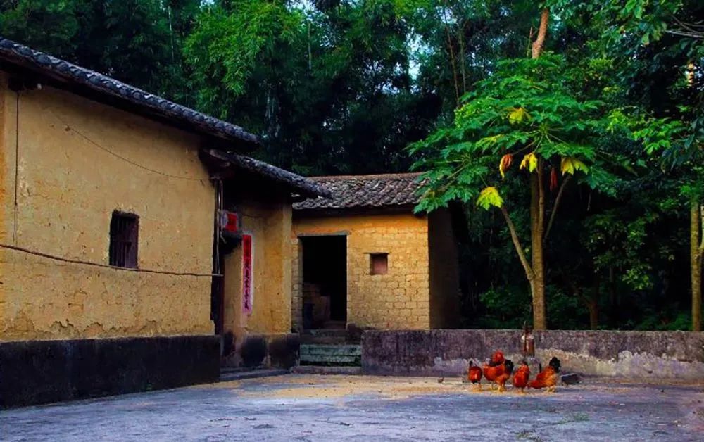 农村小院,生活的理想-70