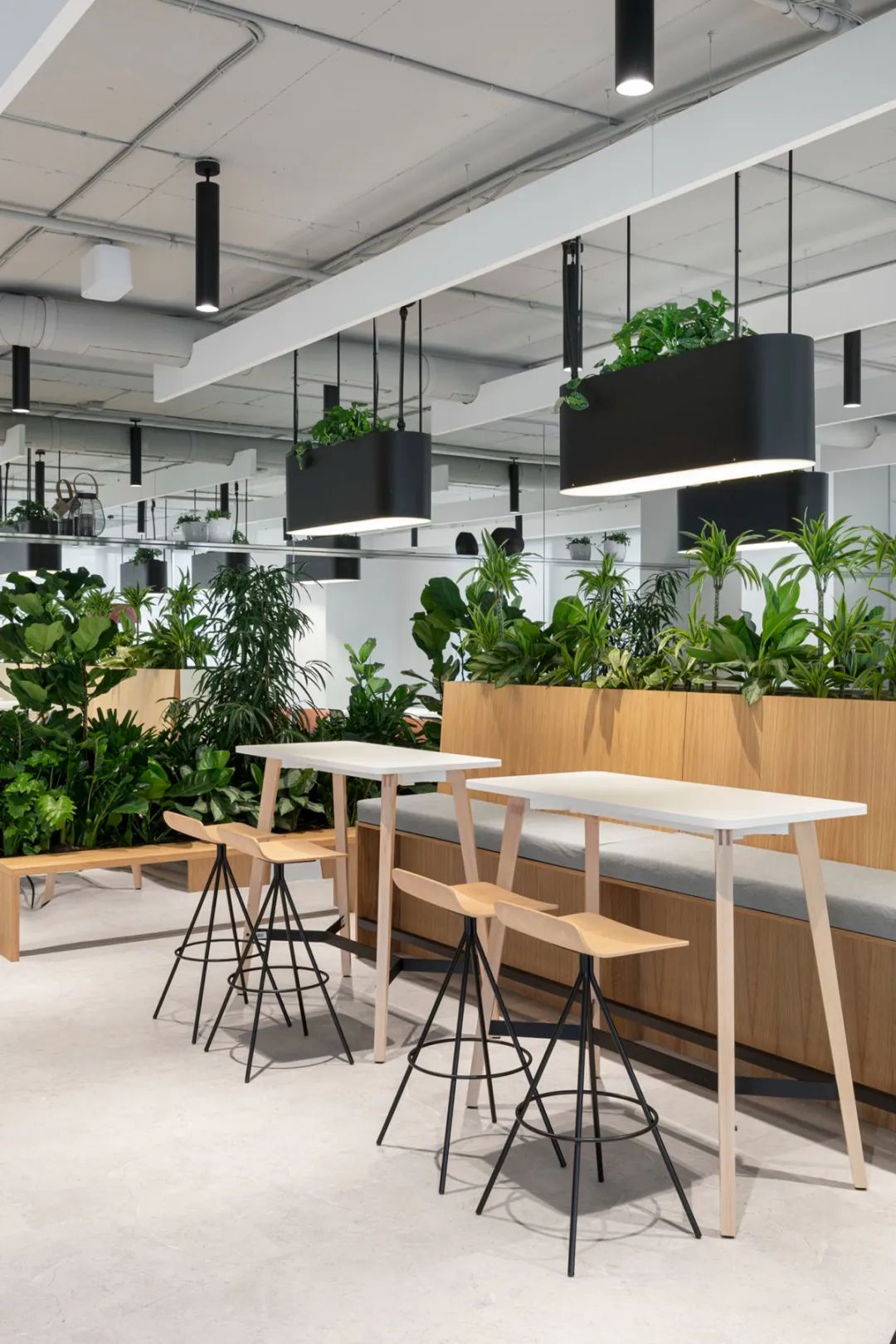 保加利亚索菲亚制药公司办公室设计丨DA architects,Ricardo Alves-36