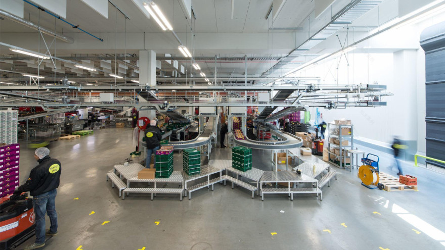 Nature's Pride 公平贸易配送中心丨Paul de Ruiter Architects-5