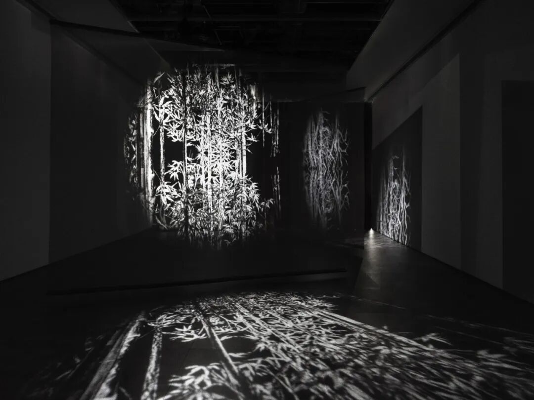 袁隆与Inoasis：感知时代的绿洲构建者-144