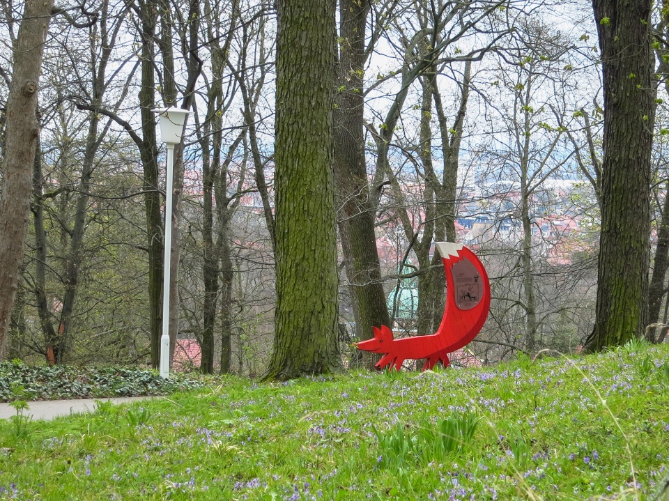 埃尔福特艾格公园知识森林丨德国丨德国雷瓦德景观建筑事务所-22