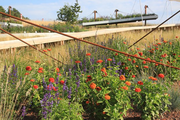 2015年哈弗尔地区联邦园艺展丨Büro Christian Meyer-0