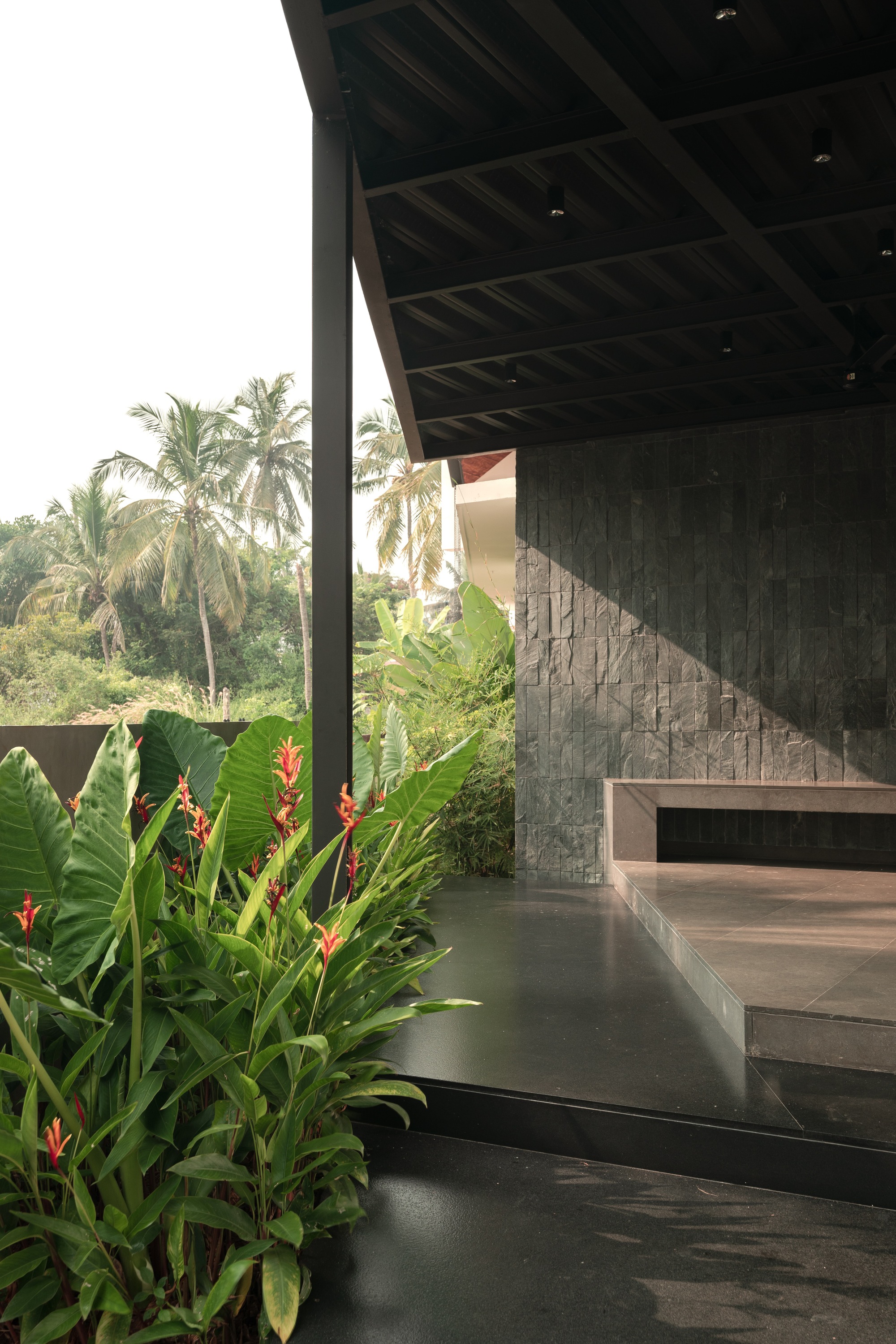 丨印度丨TROPICAL TONES-29