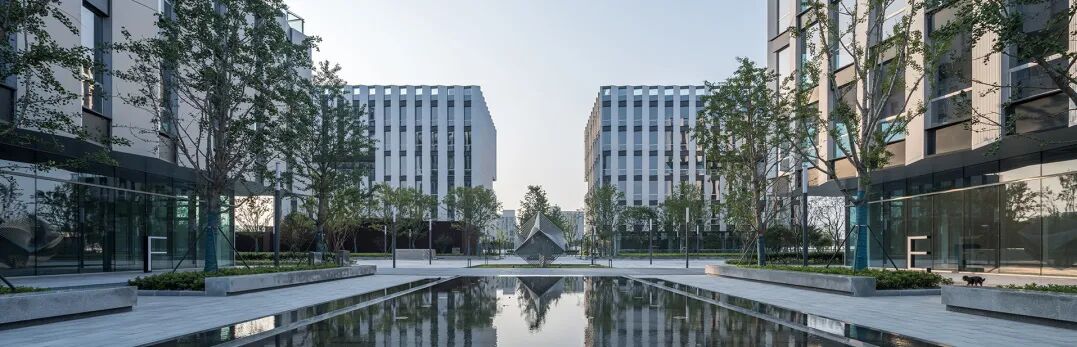 金秋系列05|科创园区的城市烟火-65