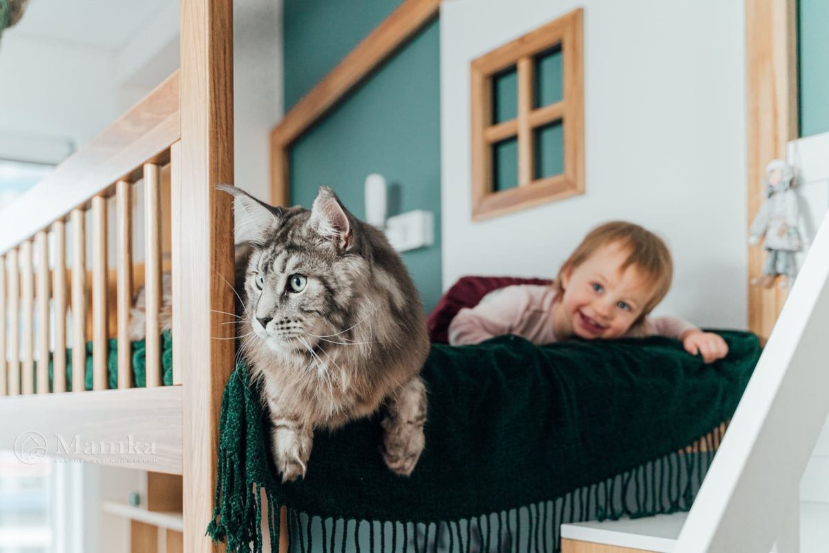 Комната девочки и мальчика Дмитрия Кожома ⋆ Фабрика мебели «Mamka™» ᐈ Эксперт детского пространства-1