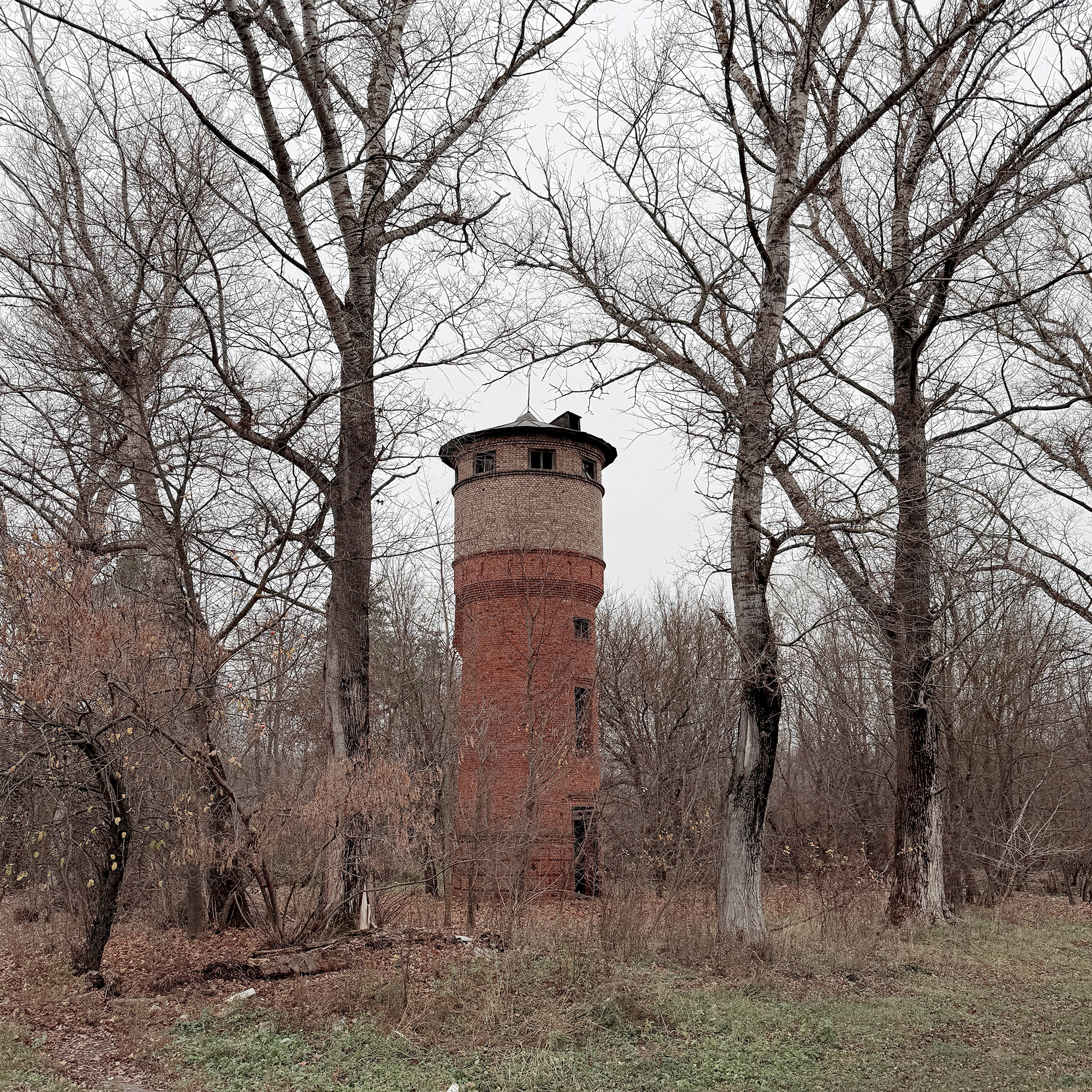 There was life here-6