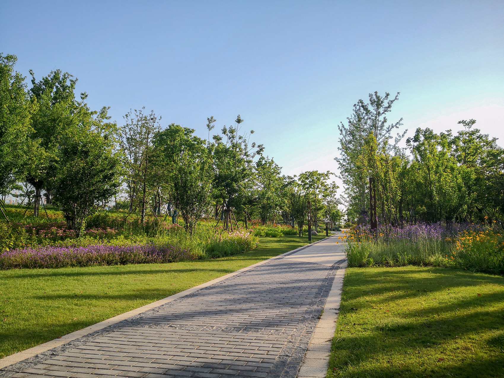 新加坡·南京生态科技岛-69