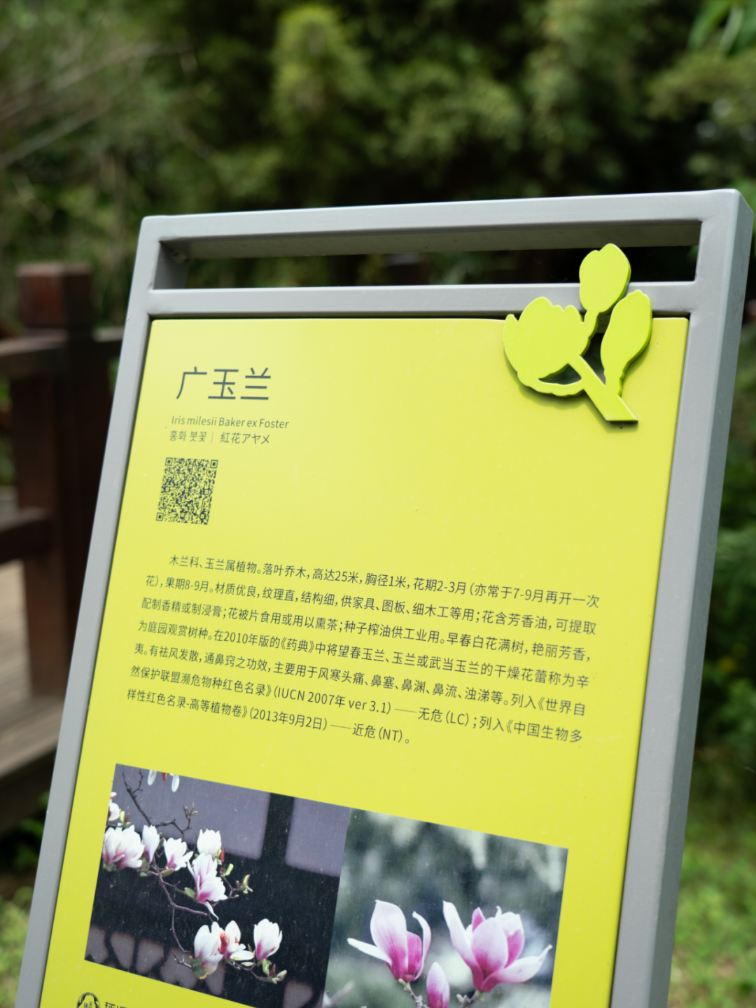 白鹭湾湿地公园自然探索基地丨中国成都丨上海柏熙标识有限公司-33